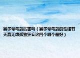 赛尔号乌凯厉害吗（赛尔号乌凯的性格有天真无虑孤独狂妄这四个哪个最好）