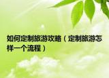 如何定制旅游攻略（定制旅游怎样一个流程）
