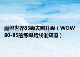 魔兽世界85级去哪升级（WOW80-85的练级路线谁知道）