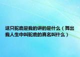 这只驼鹿是我的讲的是什么（舞出我人生中叫驼鹿的真名叫什么）