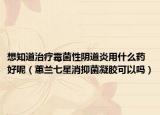 想知道治疗霉菌性阴道炎用什么药好呢（蕙兰七星消抑菌凝胶可以吗）
