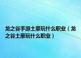 龙之谷手游土豪玩什么职业（龙之谷土豪玩什么职业）