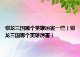 驯龙三国哪个英雄厉害一些（驯龙三国哪个英雄厉害）