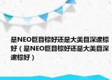 是NEO巨目棕好还是大美目深邃棕好（是NEO巨目棕好还是大美目深邃棕好）