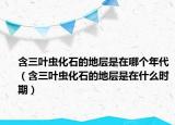 含三叶虫化石的地层是在哪个年代（含三叶虫化石的地层是在什么时期）