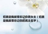 初晨是我故意忘记你男女主（初晨是我故意忘记你的男主名字）