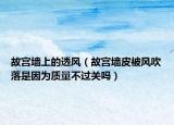 故宫墙上的透风（故宫墙皮被风吹落是因为质量不过关吗）