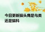 今日更新猫头鹰是鸟类还是猫科