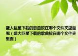 盛大巨星下载的歌曲放在哪个文件夹里面呢（盛大巨星下载的歌曲放在哪个文件夹里面）