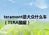 teramont是大众什么车（TERA国服）