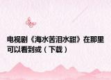电视剧《海水苦泪水甜》在那里可以看到或（下载）