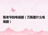 甄老爷的电视剧（万甄是什么电视剧）