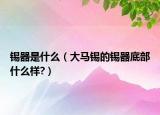 锡器是什么（大马锡的锡器底部什么样?）