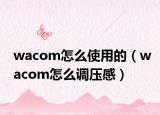wacom怎么使用的（wacom怎么调压感）