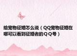 给宠物征婚怎么说（QQ宠物征婚在哪可以看到征婚者的ＱＱ号）
