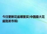 今日更新花盆哪里买(中国最大花盆批发市场)
