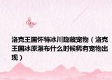 洛克王国怀特冰川隐藏宠物（洛克王国冰原瀑布什么时候稀有宠物出现）