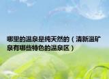 哪里的温泉是纯天然的（清新温矿泉有哪些特色的温泉区）
