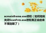 scmainframe.exe进程（如何彻底关闭ScanFrm.exe进程真正会的来不懂别跟了）