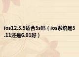 ios12.5.5适合5s吗（ios系统是5.11还是6.01好）