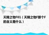 天降之物F01（天降之物F那个F的含义是什么）