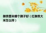 御贡香米哪个牌子好（红御贡大米怎么样）