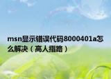 msn显示错误代码8000401a怎么解决（高人指路）