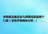 求败棍法最适合九阴真经里面哪个门派（求高手做具体分析..）