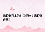 武职专升本的对口学校（武职查分网）