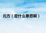 元方（是什么意思啊）