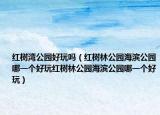 红树湾公园好玩吗（红树林公园海滨公园哪一个好玩红树林公园海滨公园哪一个好玩）