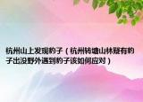 杭州山上发现豹子（杭州转塘山林疑有豹子出没野外遇到豹子该如何应对）