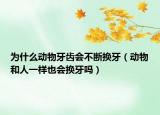 为什么动物牙齿会不断换牙（动物和人一样也会换牙吗）