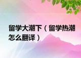 留学大潮下（留学热潮怎么翻译）