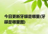 今日更新牙龈是哪里(牙龈是哪里图)
