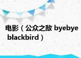 电影（公众之敌 byebye blackbird）