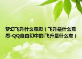 梦幻飞升什么意思（飞升是什么意思-QQ自由幻中的:飞升是什么意）