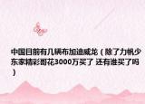 中国目前有几辆布加迪威龙（除了力帆少东家精彩哥花3000万买了 还有谁买了吗）