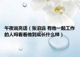 午夜说亮话（张泊远 有他一起工作的人吗看看他到底长什么样）
