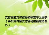 支付宝的支付密码被锁定怎么回事（手机支付宝支付密码被锁定怎么办）