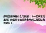 郑爽楚雨荨是什么电视剧（《一起来看流星雨》的楚雨荨的扮演者郑爽以前拍过电视剧吗）