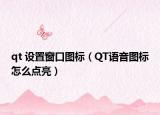 qt 设置窗口图标（QT语音图标怎么点亮）