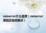 nsiserror什么意思（nsiserror原因及如何解决）
