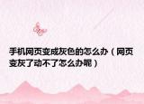 手机网页变成灰色的怎么办（网页变灰了动不了怎么办呢）