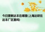 今日更新达丰在哪里(上海达研在达丰厂区里吗)