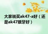 大家说买ak47-a好（还是ak47狼牙好）