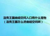 洛克王国幽暗空间入口有什么宠物（洛克王国怎么进幽暗空间啊）