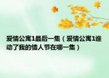 爱情公寓1最后一集（爱情公寓1谁动了我的情人节在哪一集）