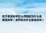 花千骨流光琴怎么得到的为什么会有流光琴（杀阡陌为什么要流光琴）