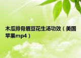 木瓜排骨眉豆花生汤功效（美国苹果mp4）